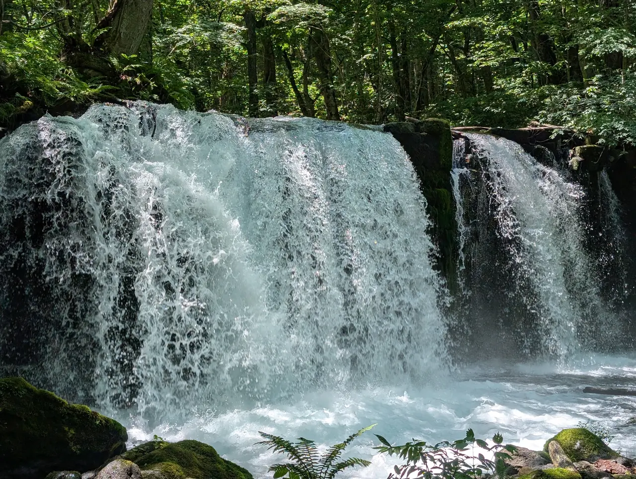 奥入瀬渓流
